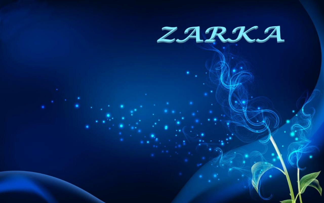 Riad Zarka 3*